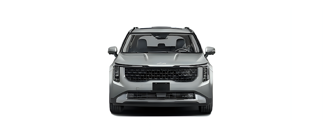 Kia Carnival Hybrid 2026 3