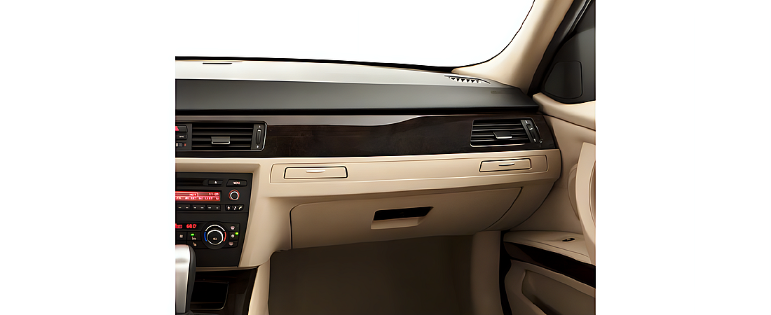 BMW 3 Series 2010 17