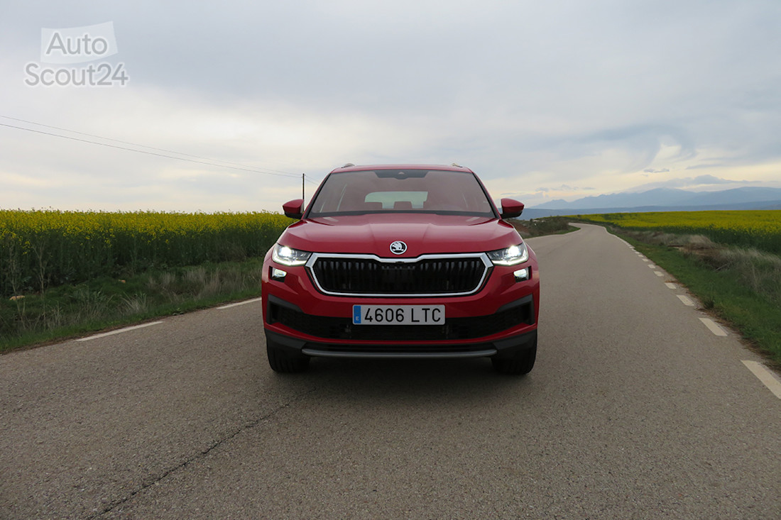 4_skoda kodiaq.JPG