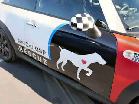 Editorial 46 bh mini takes the states 2016