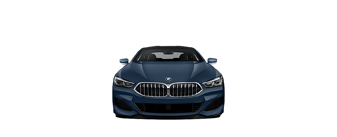 BMW 8 Series 2021 18