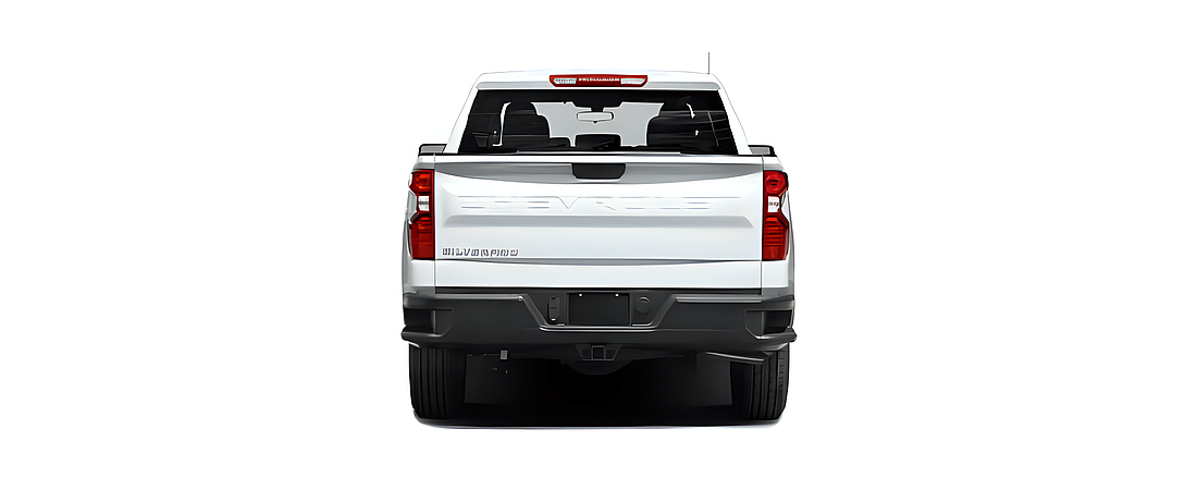 Chevrolet Silverado 1500 2021 30