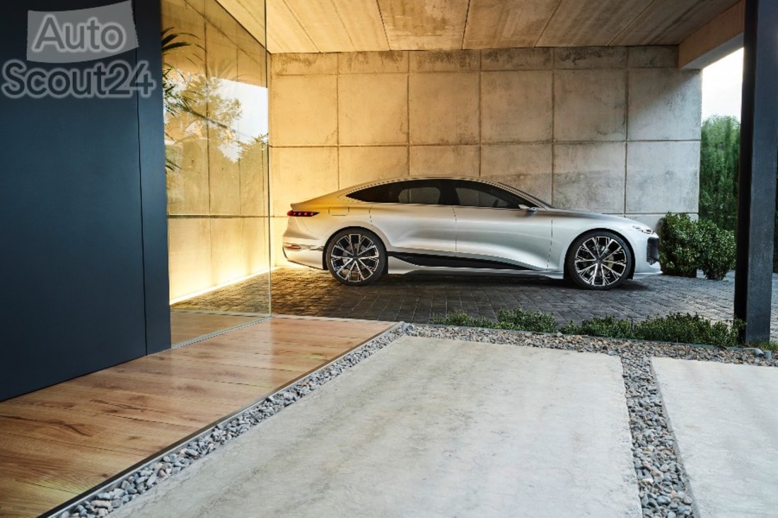 A212314_medium (1).jpg