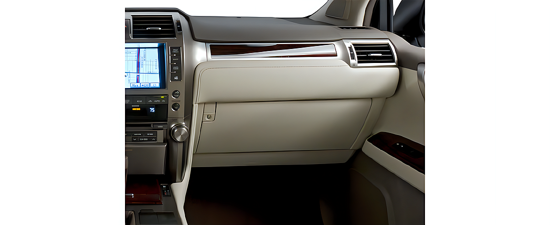 Lexus GX 460 2010 17