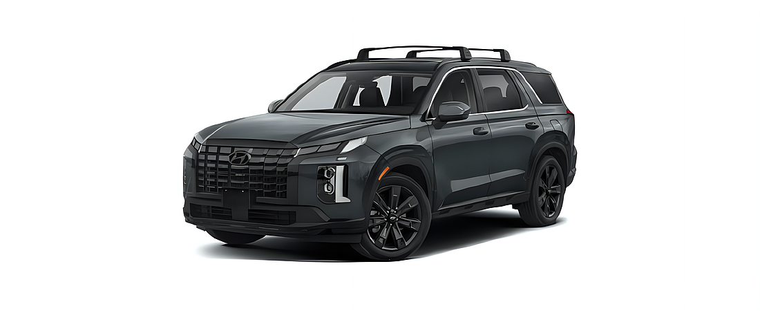 Hyundai Palisade 2024 15