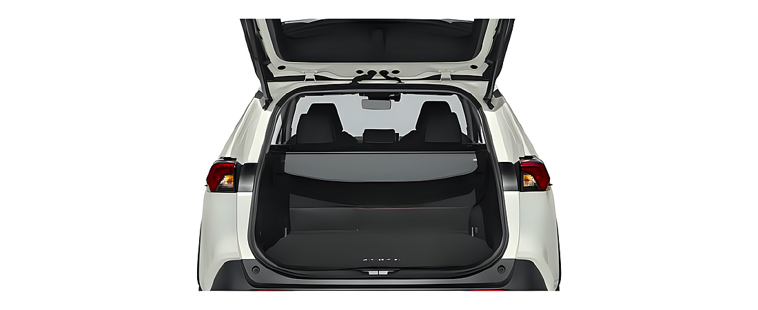 Toyota RAV4 2020 63