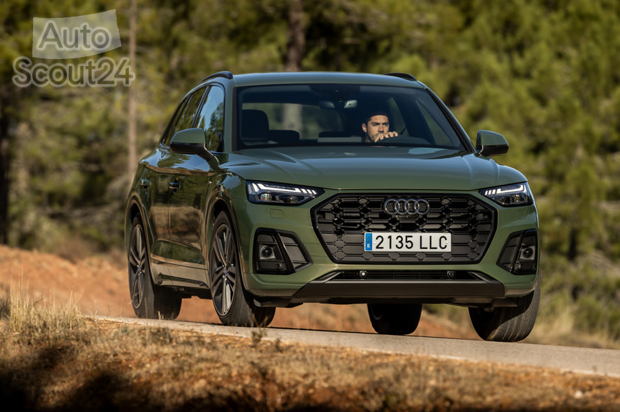 Audi Q5_51.jpg