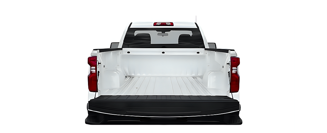 Chevrolet Silverado 1500 2020 10