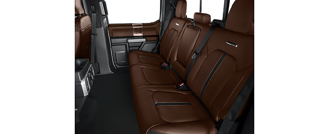 Ford F-150 2017 174