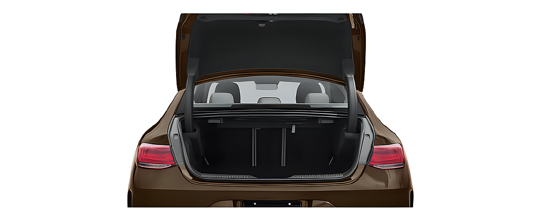 Mercedes-Benz CLS-Class 2021 9