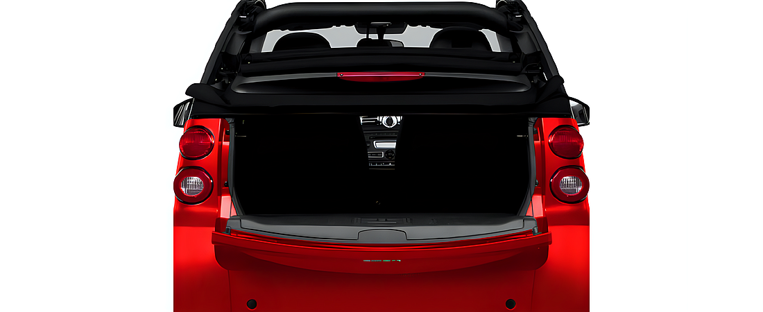 smart fortwo 2011 31