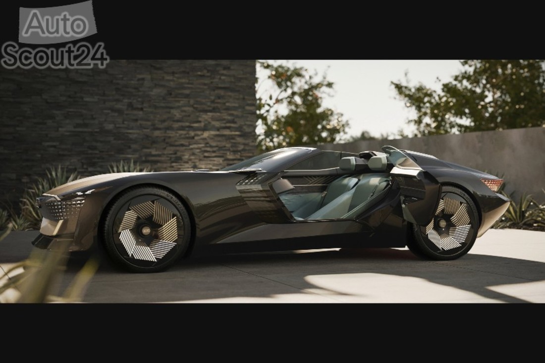 A215683_large (2).jpg