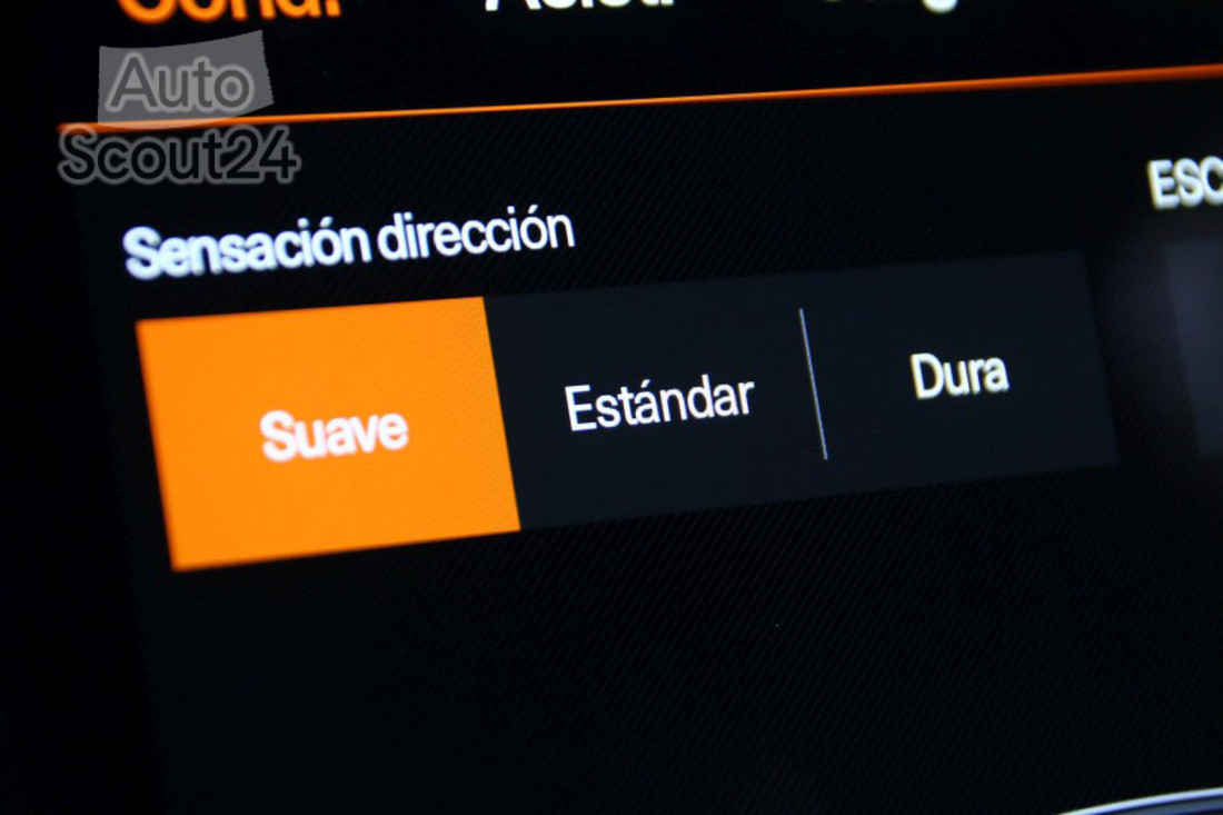 prueba-polestar-2-25.jpg