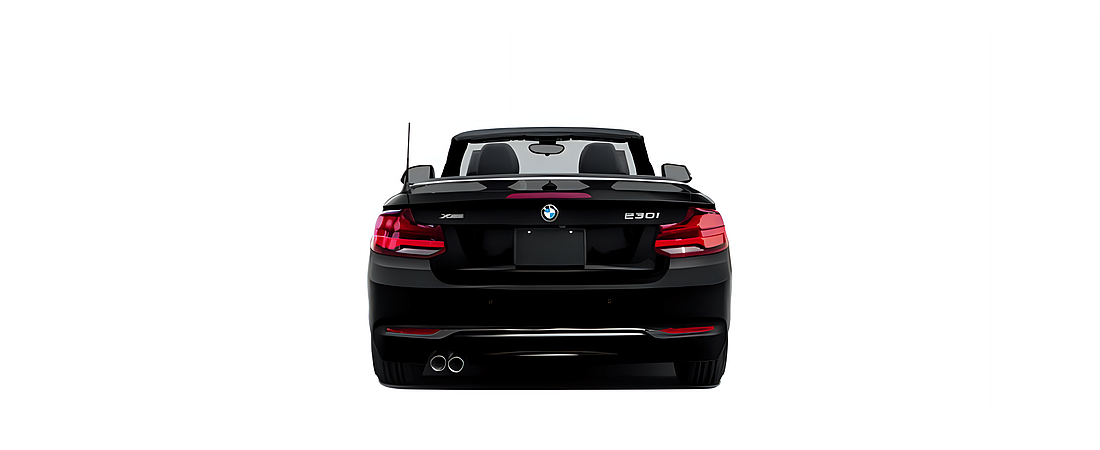 BMW 2 Series 2020 5