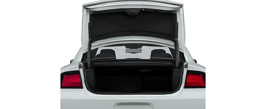 Dodge Charger 2014 29