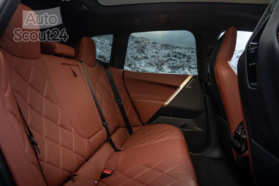 BMW IX 066