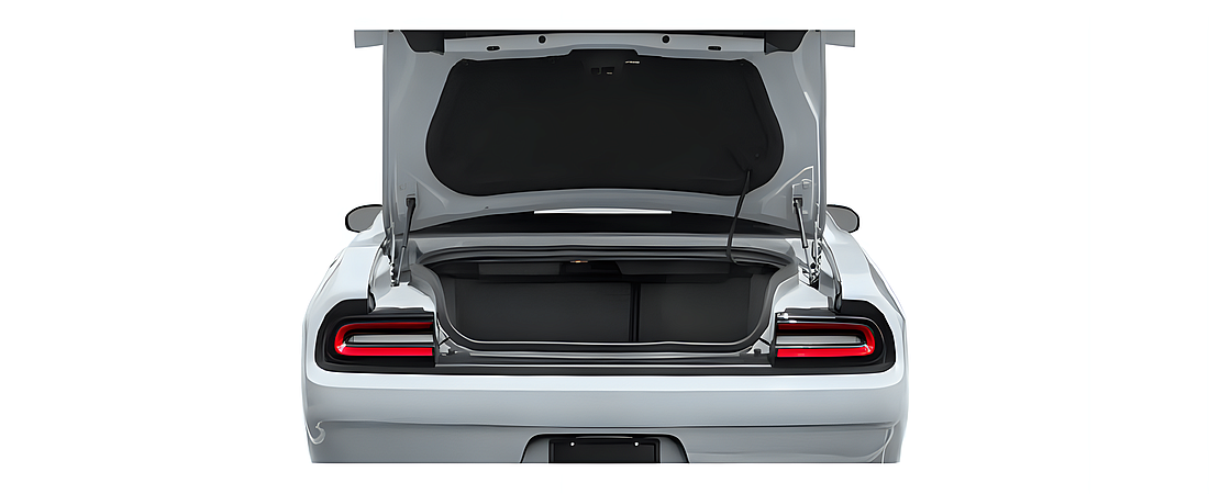 Dodge Challenger 2023 23