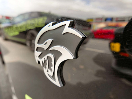 Editorial 08 bh hellcat pop quiz